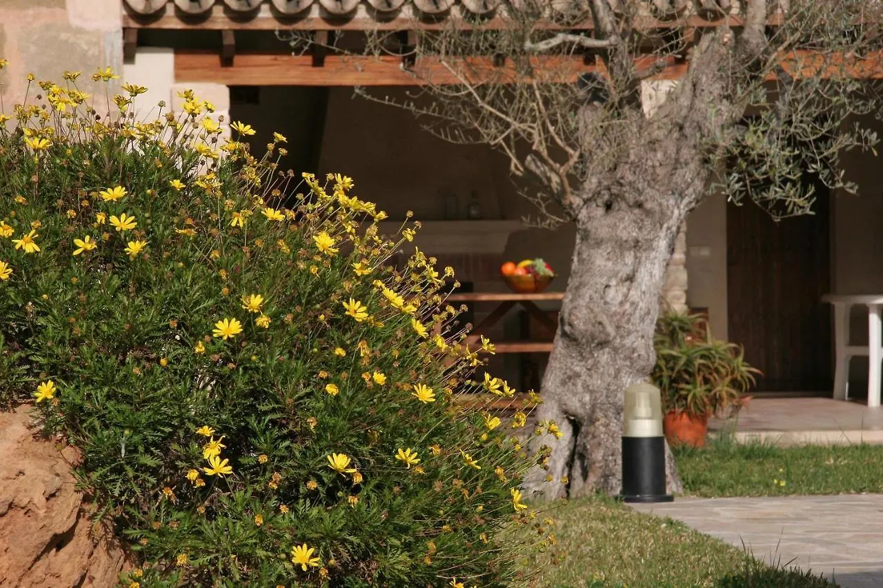 Villa Butxaco Pollenca 0*,